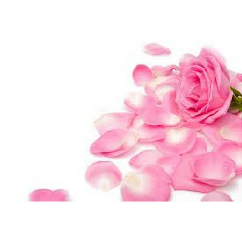 Rose Petals